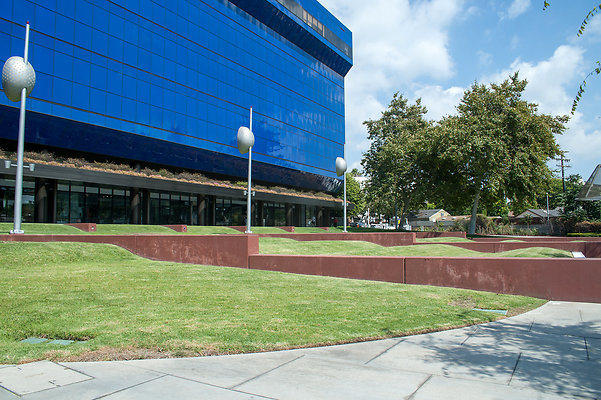 DSC 6591