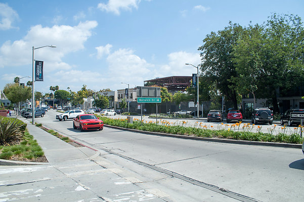 DSC 6587