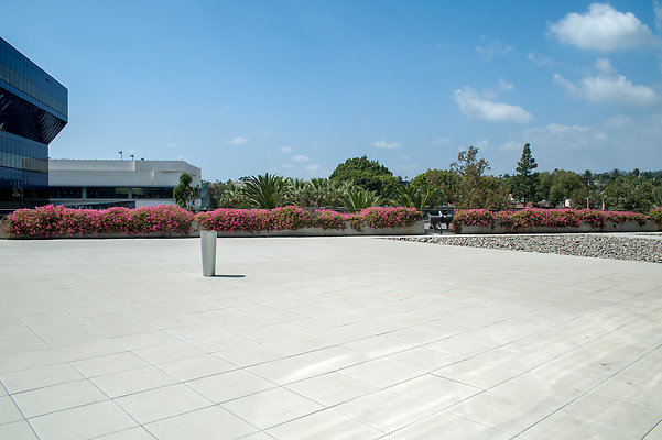 DSC 6518