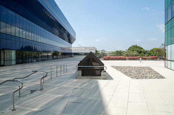 DSC 6515