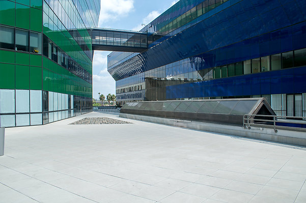 DSC 6546