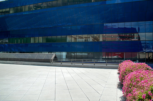 DSC 6524