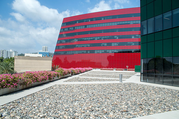 DSC 6520