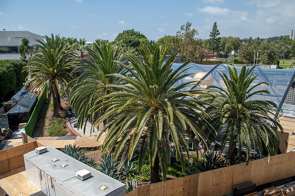 DSC 6536