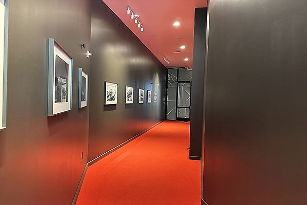 IMG 7250