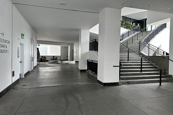 IMG 7310