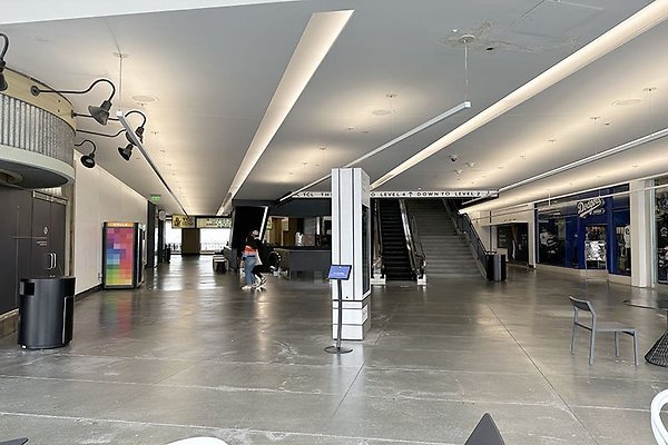 IMG 7308