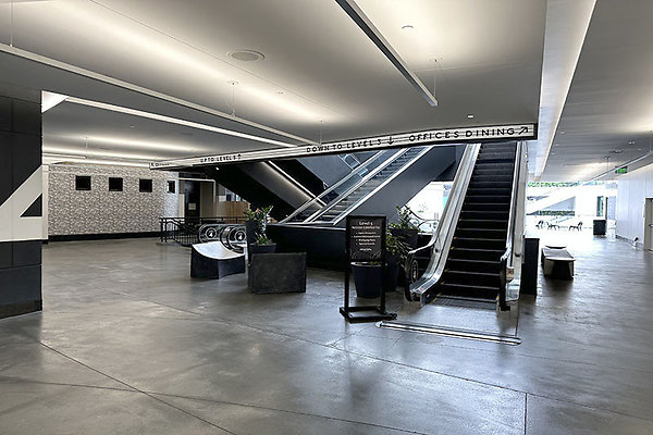 IMG 7351