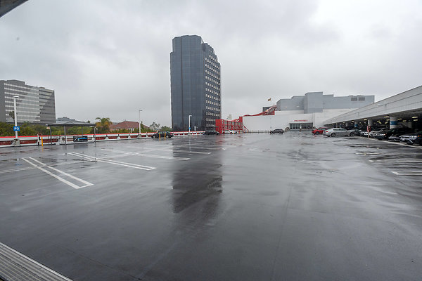 DSC 7004