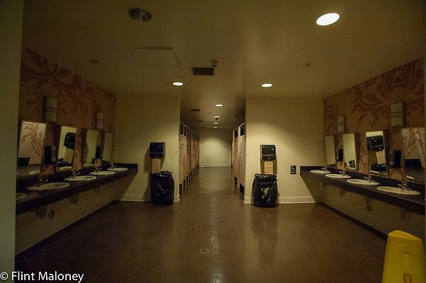 DSC 4541